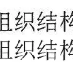 文字扫描(文字扫描提取文字)缩略图