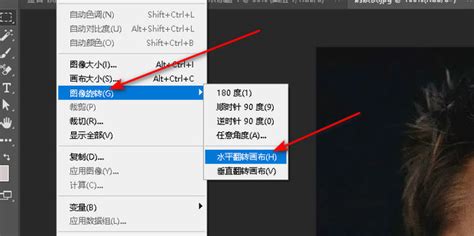照片镜像(照片镜像翻转)缩略图