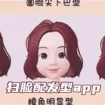 测脸型配发型软件(测脸型配发型软件app)缩略图