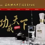 功成天下(功成天下酒价格表图)缩略图