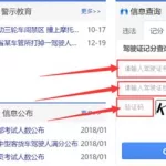 驾驶证号查询,驾驶证号查询官网入口缩略图