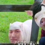 恶搞p图,恶搞p图的软件缩略图