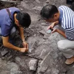 村民活捉一只恐龙(村民活捉一只恐龙 真实)缩略图