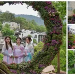 鲜花小镇(鲜花小镇最新礼包码2024)缩略图