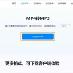 视频转换器mp4,免费的视频转换器mp4缩略图