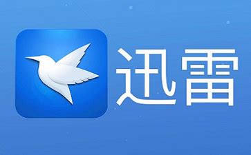 迅雷手机版,迅雷手机版下载的文件在哪里缩略图