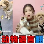 动物语音翻译器(动物语言翻译器)缩略图