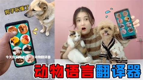 动物语音翻译器(动物语言翻译器)缩略图