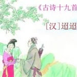官路迢迢(官路迢迢免费阅读 小说)缩略图