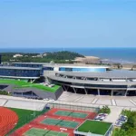 网龙公司(网龙公司董事长)缩略图