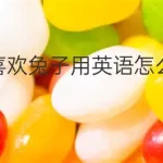 兔子翻译,兔子翻译英文缩略图