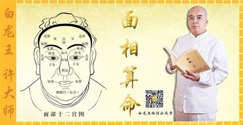 免费测面相算命(免费测面相算命APP)缩略图