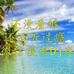 清风dj音乐(清风dj音乐网)缩略图