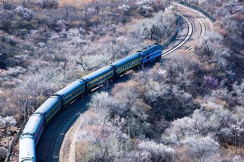 旅游火车(旅游火车专列)缩略图