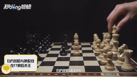 国际象棋开局,国际象棋开局必备十大布局缩略图