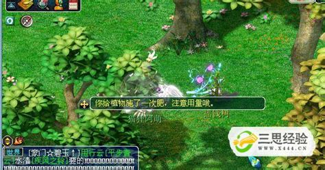 梦幻西游种树(梦幻西游种树苗技巧)缩略图