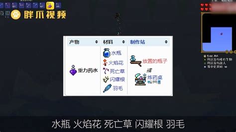 泰拉瑞亚重力药水,泰拉瑞亚重力药水怎么获得缩略图