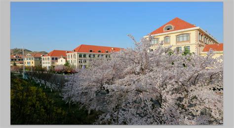 樱花校园,樱花校园模拟器缩略图