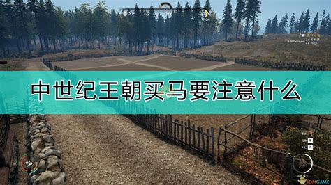 买马在哪里买(买马在哪里买有什么软件吗)缩略图