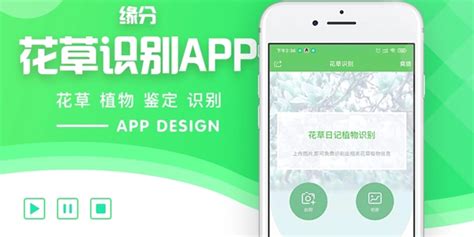 植物识别扫一扫,植物识别扫一扫入口缩略图