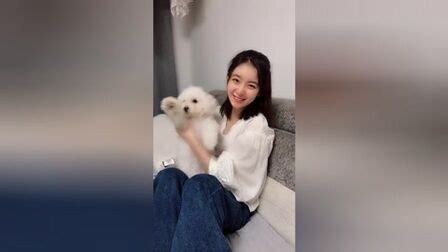 人操动物(动物操儿歌)缩略图