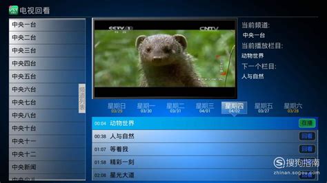 直播电视(直播电视剧用什么软件)缩略图