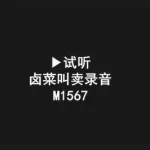 促销录音,促销录音制作软件缩略图
