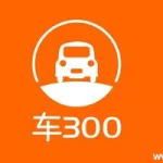 车300,车300在线查询车辆出险记录缩略图