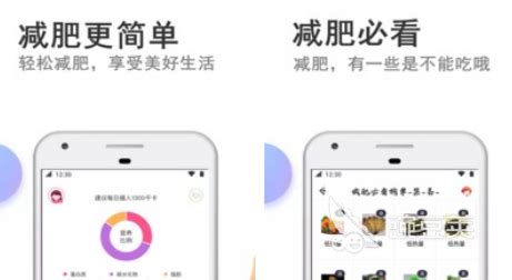 减肥软件,减肥软件免费排行榜第一名缩略图