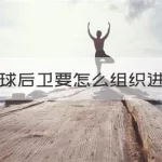 控球后卫(控球后卫fm)缩略图
