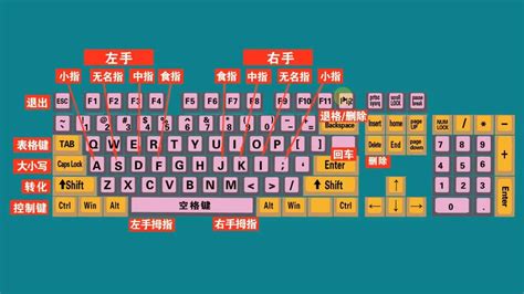 键盘打字练习,键盘打字练习软件缩略图