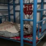 床震app(9 1短视频安装)缩略图