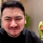茄子视频你懂的,星空视频app官方版下载安装缩略图