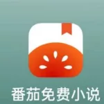 番茄小说网站(番茄免费小说)缩略图
