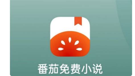 番茄小说网站(番茄免费小说)缩略图