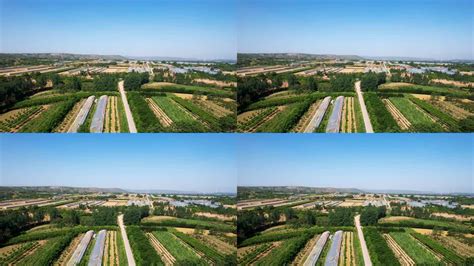 完美城市,完美城市最新游戏下载缩略图