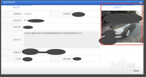 交通12123(交通12123官网app下载最新版)缩略图