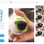 识别狗狗品种软件,识别狗狗品种软件下载缩略图