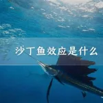 沙丁鱼游戏,沙丁鱼游戏剧情解析缩略图