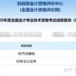 成绩查分(成绩查询网)缩略图