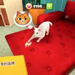 猫咪玩的游戏(猫咪玩的游戏手机版)缩略图