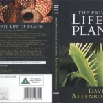 植物私生活(跟植物相处)缩略图