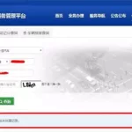 查询交通违章(查询交通违章电话)缩略图