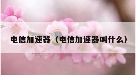 电信加速器(电信加速器官网)缩略图