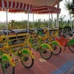 租自行车(租自行车的平台)缩略图