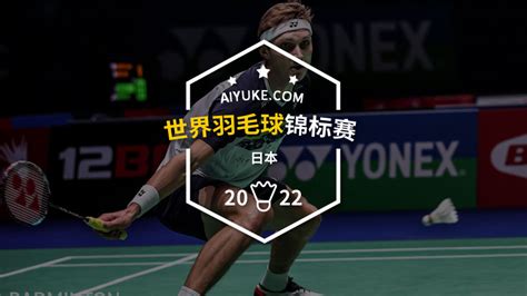 爱羽客羽毛球直播,爱羽客羽毛球直播下载缩略图