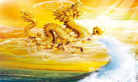 九转金龙诀(九转金龙诀免费读)缩略图