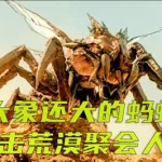 疯狂蚂蚁(疯狂蚂蚁动画片全集)缩略图