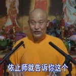 官路修行(官路修行 蔡晋)缩略图