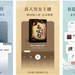 免费看晋江小说的软件,免费看晋江小说的软件有哪些缩略图